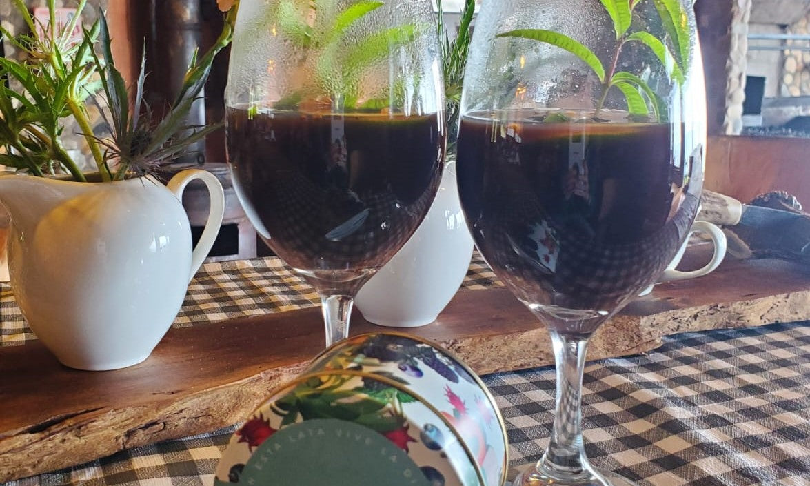Receta de Vino Caliente con Infusión Fruitfiesta