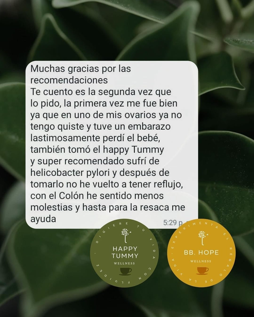 Testimonio_HappyTummy_milamores.jpg