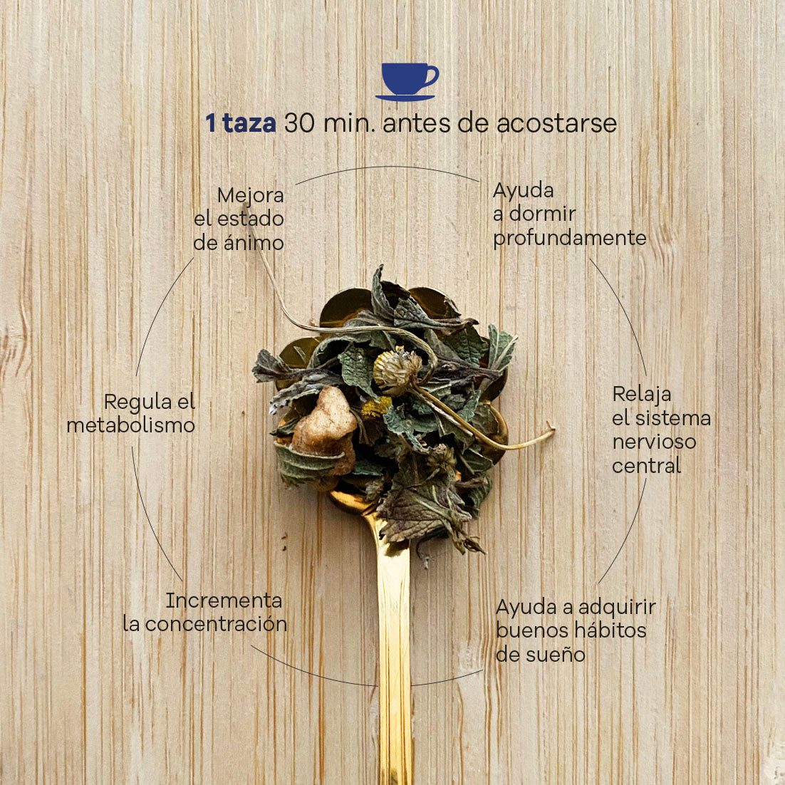 Essential Wellness Kit